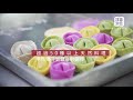 寵物鮮食第一品牌：汪事如意 五星寵物鮮食