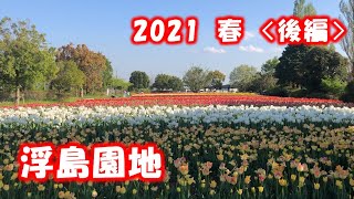 浮島園地（和田公園）2021【春】〈後編〉もうひとつの「花畑」を目指して歩いて行くーー(*'▽')（茨城県稲敷市）