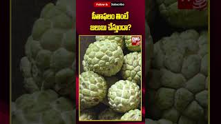 കസ്റ്റാർഡ് ആപ്പിൾ കഴിക്കുന്നതിൻ്റെ ഗുണങ്ങൾ: കസ്റ്റാർഡ് ആപ്പിൾ കഴിച്ചാൽ ജലദോഷം ഉണ്ടാകുമോ? | ബിഗ് ടിവി തെലുങ്ക്