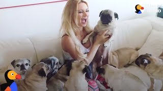 The Pug Queen: Woman Rescues EVERY Pug She Can | The Dodo