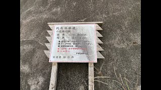 田辺市　小広静川林道