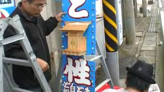 ど根性アコウの木神祠１