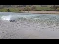 allai on teste le bateaux traxxas spartan