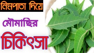 Bee treatment neem leaves,মৌমাছির চিকিৎসা নিমপাতা।