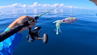 Offshore Lake Atlantic Florida Bottom Fishing - Jigging, Live Bait, and Cut bait! Snapper & Grouper!