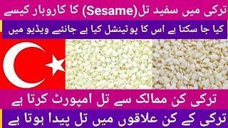 White Sesame Trade and  wholesale in Turkey, Sesame import  in Turkey, +994702669169