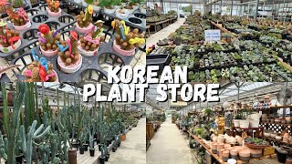 HUGE KOREAN PLANT STORE TOUR 🇰🇷🪴 (Part 2) 에르베플라워아울렛