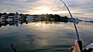 This Fish TOWED me over 100 Metres | Lake Macquarie Kayak fishing