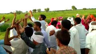 Jila gadoti tejaji Yatra sursura dham