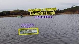 EXPLORING VIKING ISLANDS ON STRANGFORD LOUGH... WATCH UNTIL THE END 😂😂😂😂😂