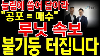 [루닛 주가전망] 5분전 긴급속보! 이번 눌림에 반드시 쓸어 담아라! \