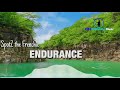 Looking for relaxing music? Enjoy  Endurance by SpotZ the Frenchie | VIKI Publishing | ASMR Music