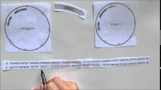 How to design primers for Gibson assembly