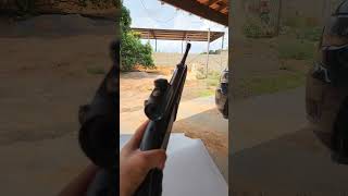 Rifle de pressão CBC Nitro Adv with red dot CBC. Diversão garantida, carabina. #shorts #cbc #viral