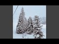 blankets of snow