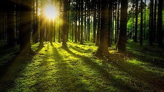 NATURE 4K - Relaxation Film - Peaceful Relaxing Music - Nature 4k Video UltraHD - OUR PLANET