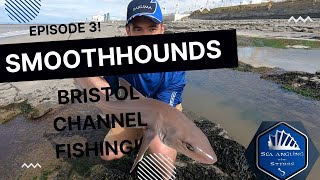 Smooth Hound Fishing @ Shurton reefs/  Hinkley point / Lilstock Bristol Channel Fishing