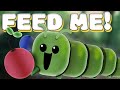 Countdown Timer: 2 Minute Feast! Hungry Caterpillar
