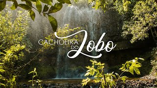 Full HD - Cachoeira - Relaxante