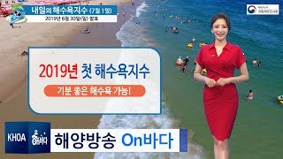 [해수욕지수] 2019년 7월 1일  다시 찾아온 해수욕지수! / 해양방송 On바다