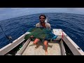 insane fishing catching 20 different species fnq lizard island pt 4