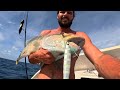 insane fishing catching 20 different species fnq lizard island pt 4