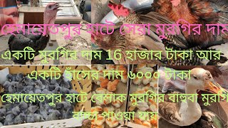 Hamidpur heart হেমায়েতপুর হাটে সেরা মুরগির দাম! এই হাট সপ্তাহে একদিন পূর্তি বৃহস্পতিবারে হাট হয়