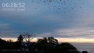 アタミノデ 2013年10月21日（日の出 5:54 #326