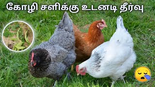 கோழி சளிக்கு உடனடி தீர்வு |  Instant Remedy for Chicken Flu