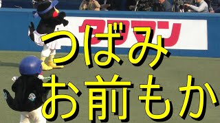 つば九郎【東京ヤクルト】つばみ、お前もか⁉　今話題の夢屋まさるのパンケーキ食べたい‼つばみもお気に入りのようです(笑)