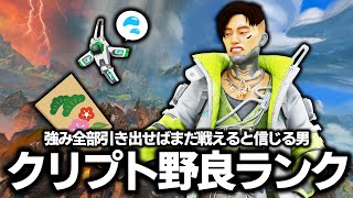 今年中にどこまでランク上げんのって話だろうが:クリプト野良ランク【ApexLegends】