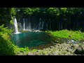 amazing waterfalls mysterious nature sounds and birdsong