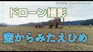 【ドローン】空からみたえひめ　わらマンモスとわらぐろ　愛媛県西予市宇和町