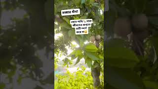 কোন পাখি সারা জীবনেও কখনো মাটি স্পর্শ করেনি। #shorts #short #shortvideo #viral #shortsfeed