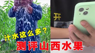 离谱！这世上居然有这么多汁水的梨？难不成咬到大动脉了【开箱组长】