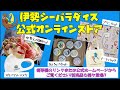 【アシカ】ポロ仔ちゃんの成長記（伊勢シーパラダイス／水族館）