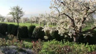 Bodensee - die Natur erwacht