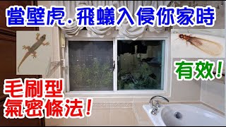 [DIY達人#211] 當壁虎.飛蟻入侵你家時.用毛刷型氣密條法...有效!