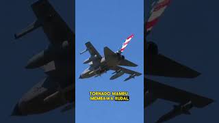 Kecanggihan Teknologi Jet Tempur Panavia Tornado #shorts #faktadidunia #faktaunik #aviation