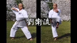 Ryuei Ryu Karate 劉衛流空手 