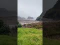 unforgettable moments capturing the beauty of piha beach newzealandnature