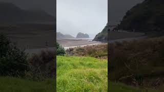 Unforgettable Moments: Capturing the Beauty of Piha Beach #newzealandnature