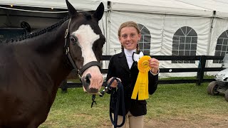 ⭐️Flf Star Of The Show 🎪 WIHS round at Kentucky Summer Classic!🤍