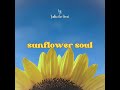 sunflower soul