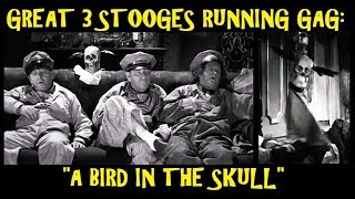 Great 3 Stooges Running Gag: \