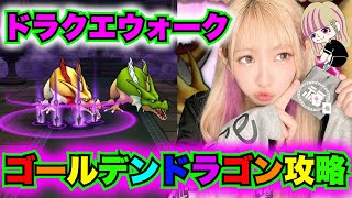 【ドラクエウォーク】新ほこらゴールデンドラゴン攻略していこー！無課金ギャル勇者がいく！