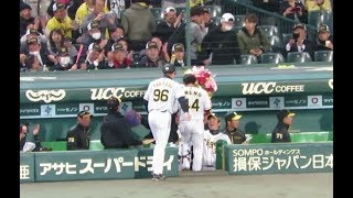 H31.04.09　8回裏　梅野ｻｲｸﾙﾋｯﾄ達成　花束　　阪神×横浜　甲子園