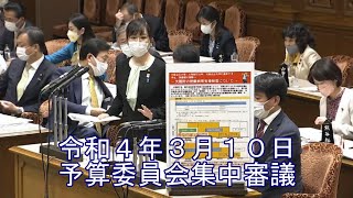 2022年3月10日　予算委員会 集中審議　デジタル社会における都市OSの構築に向けた支援、高等教育の無償化、経済安全保障、障害者雇用と福祉