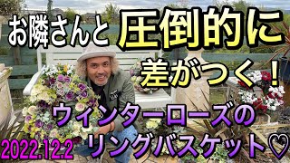 【寄せ植え】ミニ葉ボタンで圧倒的に差がつく！ウィンターローズ（冬のバラ）リングバスケット☆