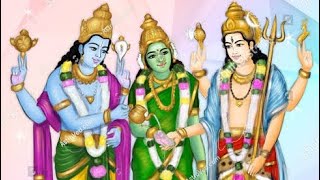 சிவன் பார்வதி திருக்கல்யாணம் / Sivan Parvathi Thirukalyanam